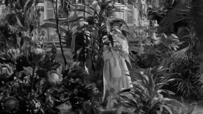 Strictly speaking - Suddenly, Last Summer