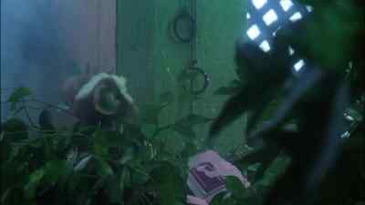 STRIPE:
Gizmo ca-ca! - Gremlins