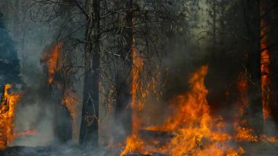 Strong winds drive the flames, - Our Planet