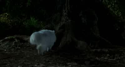 Stuart, is that you? - Stuart Little