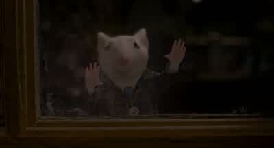 Stuart! - Stuart Little