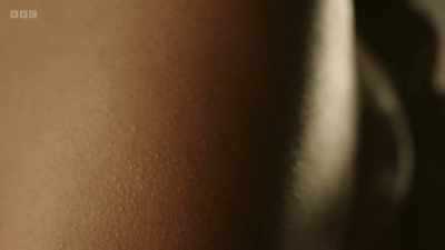 Studies have shown that an imbalance
in our gut bacteria - The Human Body: Secrets of Your Life Revealed