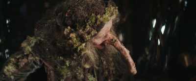 (Stump Woman grunting) - The Ash Lad: In Search of the Golden Castle