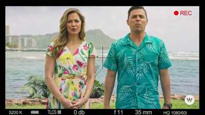Stunning beaches, luxurious
resorts, bustling nightlife. - You Had Me at Aloha