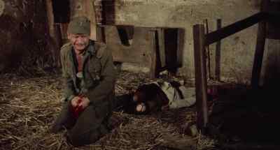 Stupid man! - Cross of Iron