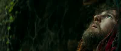 Stupid. - Swiss Army Man