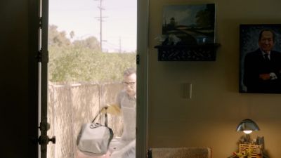 Stupid, stupid, stupid. - The Last Man on Earth