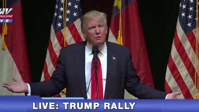 - Stupidity is not a reason that - Trump: The Art of the Insult