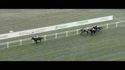 Subjectivist was in a different
league and put the race to bed. - Horsepower