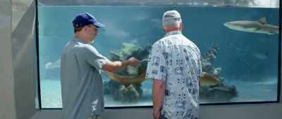 Submarines they could move as efficiently as a shark, - Is Genesis History?