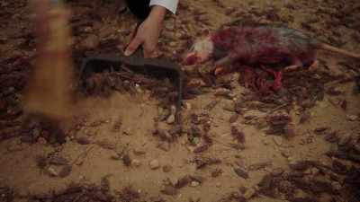 Subtitles by explosiveskull - Midnight, Texas