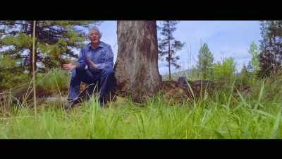 Success and failure - Restoring the Shack