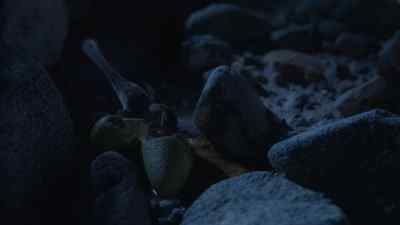 Success, perhaps more by luck than skill. - Prehistoric Planet
