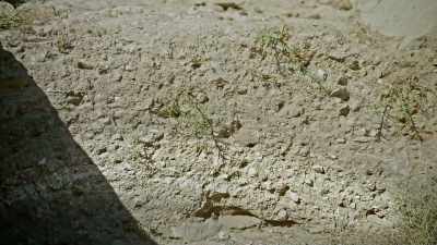 Such a deformation can be - Ancient Armageddon