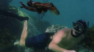 Such an incredible feeling. - My Octopus Teacher