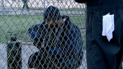 - Sucre got... - Prison Break