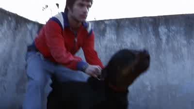 Suéltenlos a las tres. - Amores Perros