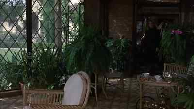 Sugar, Mr. Brimmer? - The Last Tycoon