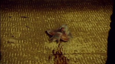 Sulfur. - Hemlock Grove
