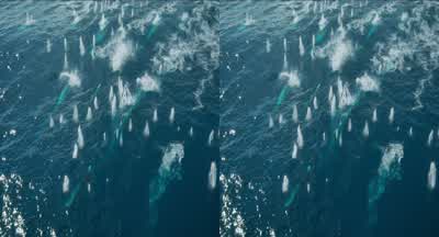 Sully's inbound. - Avatar: The Way of Water