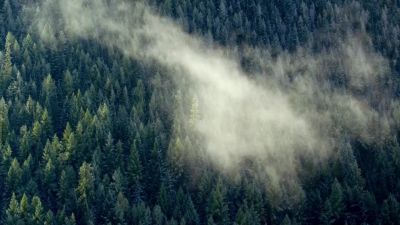 Summer in the mountains is short. - Hostile Planet