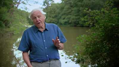 Sunlight contains rays that vibrate
in many different planes. - Attenborough's Life in Colour