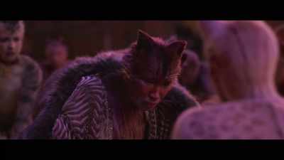 ♪ Sunlight through the trees in summer ♪ - Cats