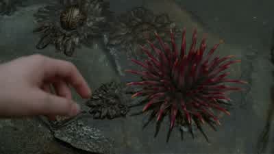 Sunny, the youngest, had a different interest. - Lemony Snicket's A Series of Unfortunate Events