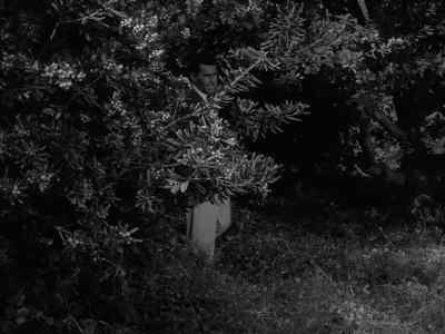 Sunnyvale rest, - The Twilight Zone