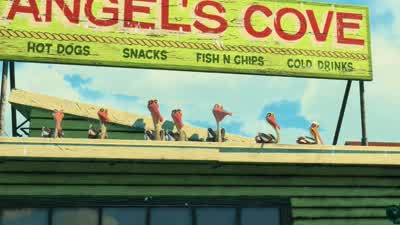 Sun's barely up and Gerald's had more than he can handle. - Finding Nemo