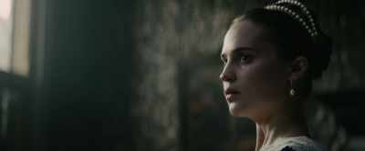 Supply and demand, - Tulip Fever