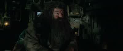 Suppose some of them remember he was friendly to them. - Harry Potter and the Order of the Phoenix