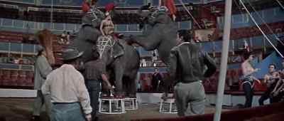 Sure I can Mr Bouglione How'd you like my act - Trapeze