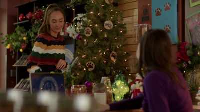 Sure, there's that,
but there's more to it. - My Christmas Guide