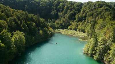 Surely they deserve
more of our attention - The Green Planet