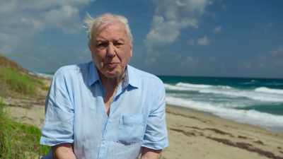 Surely, we have a responsibility
to care for our blue planet. - Blue Planet II
