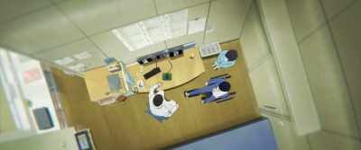 Surgery couldn't unite
the joint surfaces perfectly. - Josee, the Tiger and the Fish