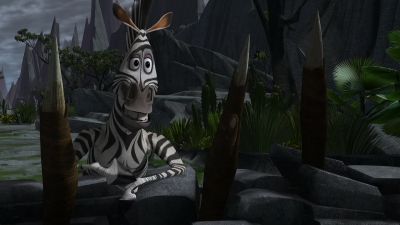 Surprise - Madagascar