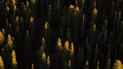 Survivalist Bob: Where do you
want me to start? - Big Sky