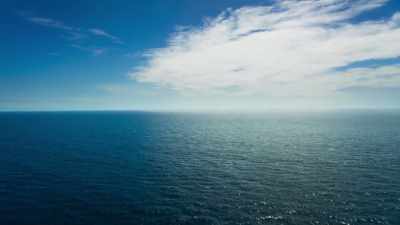 Surviving in the open ocean - Blue Planet II