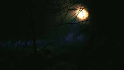 Susan: It seems like it was
several hours - Murder in the Badlands