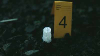 Susan: The forensics appear
to have now disappeared, - Murder in the Badlands