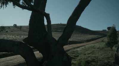 (suspenseful music continues playing) - The Clearing
