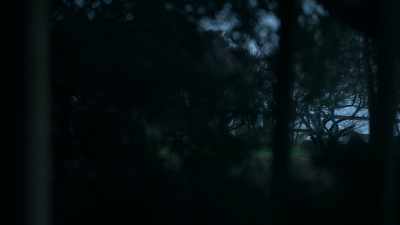 (suspenseful music continues playing) - The Clearing