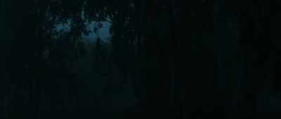 [suspenseful music fades] - Alice in Terrorland
