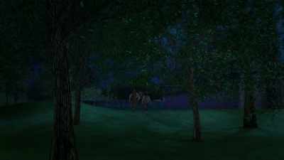 [suspenseful music playing] - The Swan Princess: A Fairytale Is Born