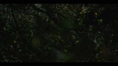 ♪ (SUSPENSEFUL MUSIC PLAYING) ♪ - I'll Be Gone in the Dark