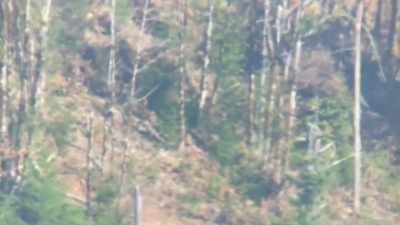 [suspenseful music playing] - Expedition Bigfoot
