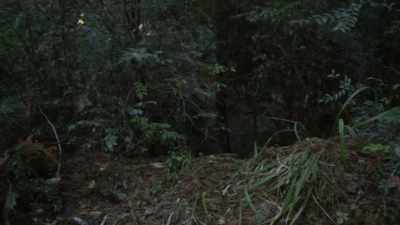 [suspenseful music playing] - Expedition Bigfoot