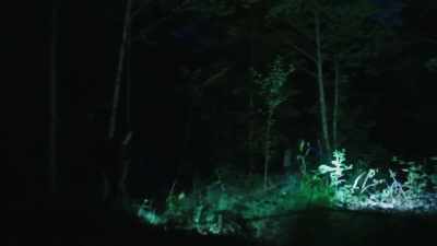 [suspenseful music playing] - Expedition Bigfoot